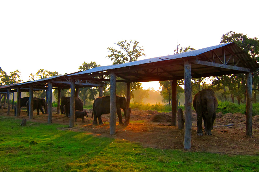 Elephant Breeding Center
