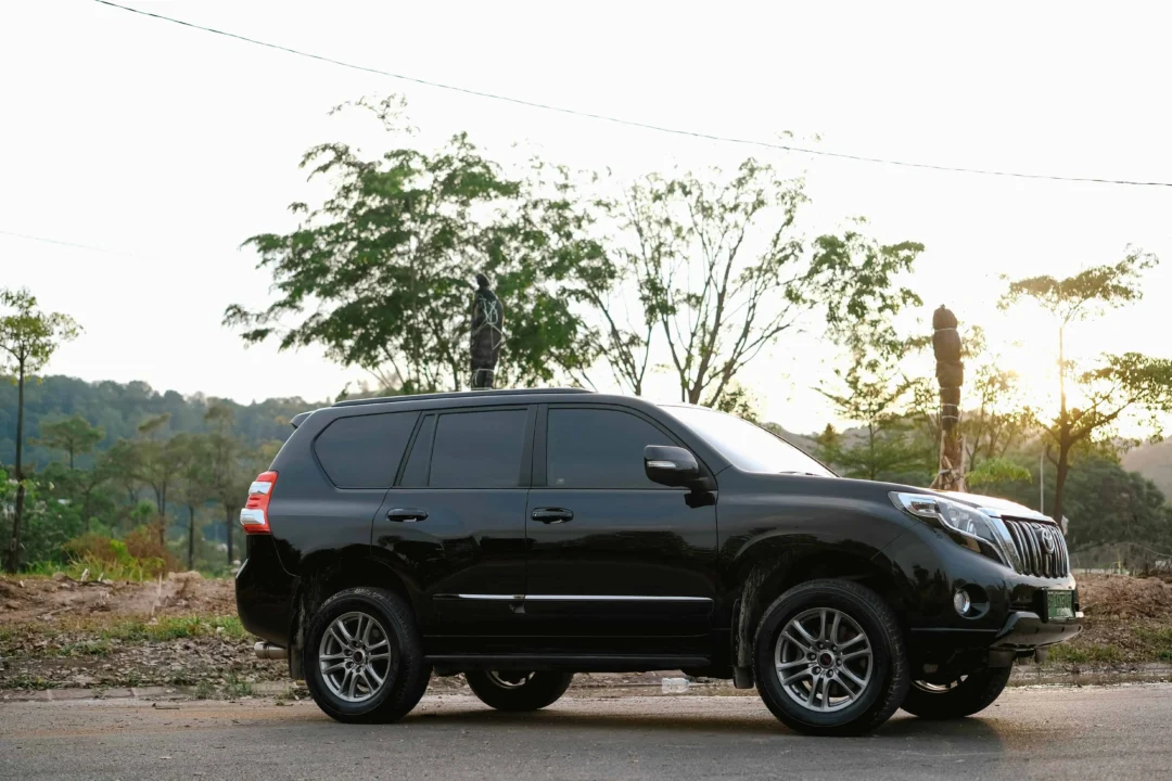 Black SUV parked near trees.