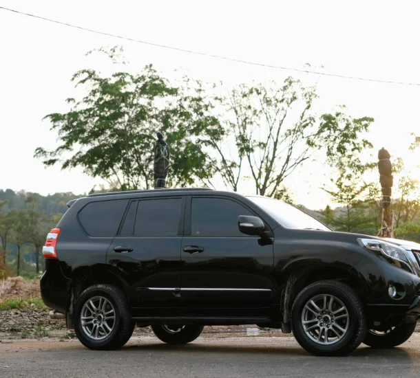 Black SUV parked near trees.