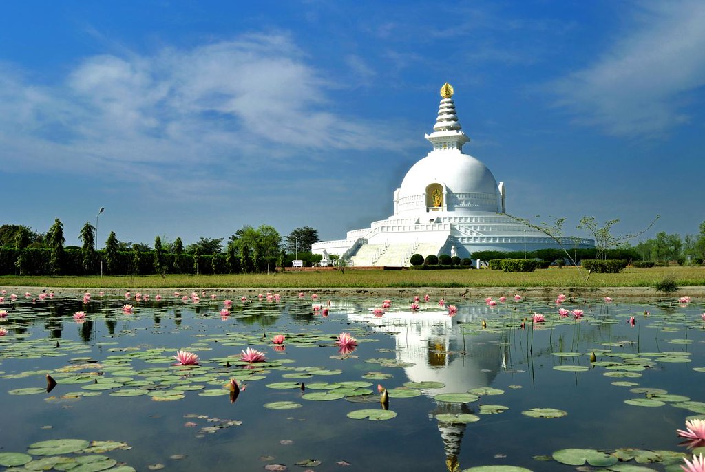 White Buddhist stupa with golden spire reflected in lotus pond