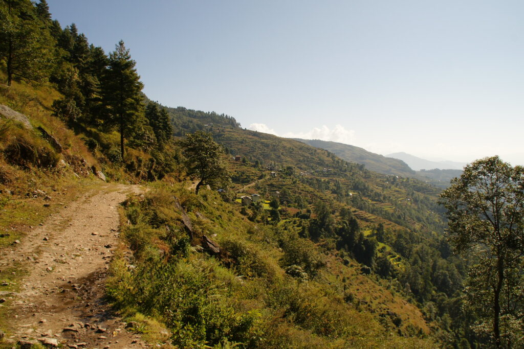 Mountain path with terraced fields and scattered trees