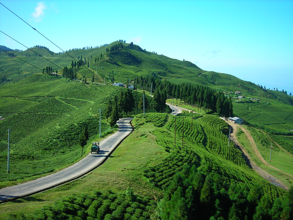 Kathmandu to Ilam by Private Car winding road through tea hills